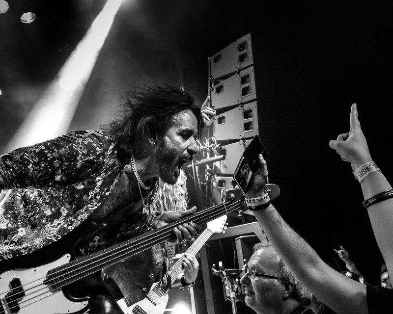 The Dead Daisies